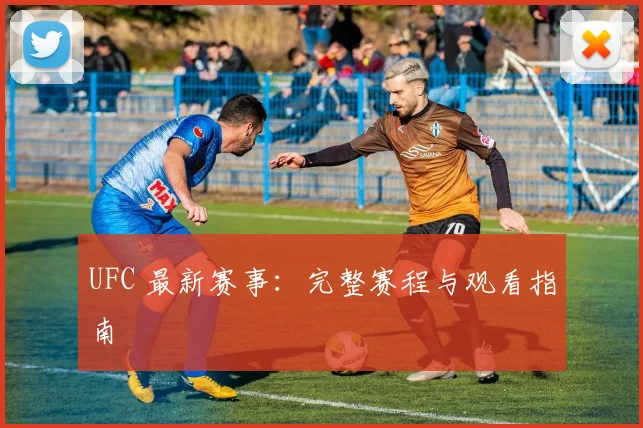 UFC 最新赛事：完整赛程与观看指南